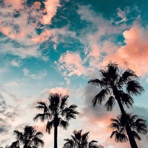 Meet your Posher, Maya